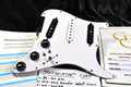 "TWO WORLDS" Pickguard STARSHIFTER™ CORE wiring