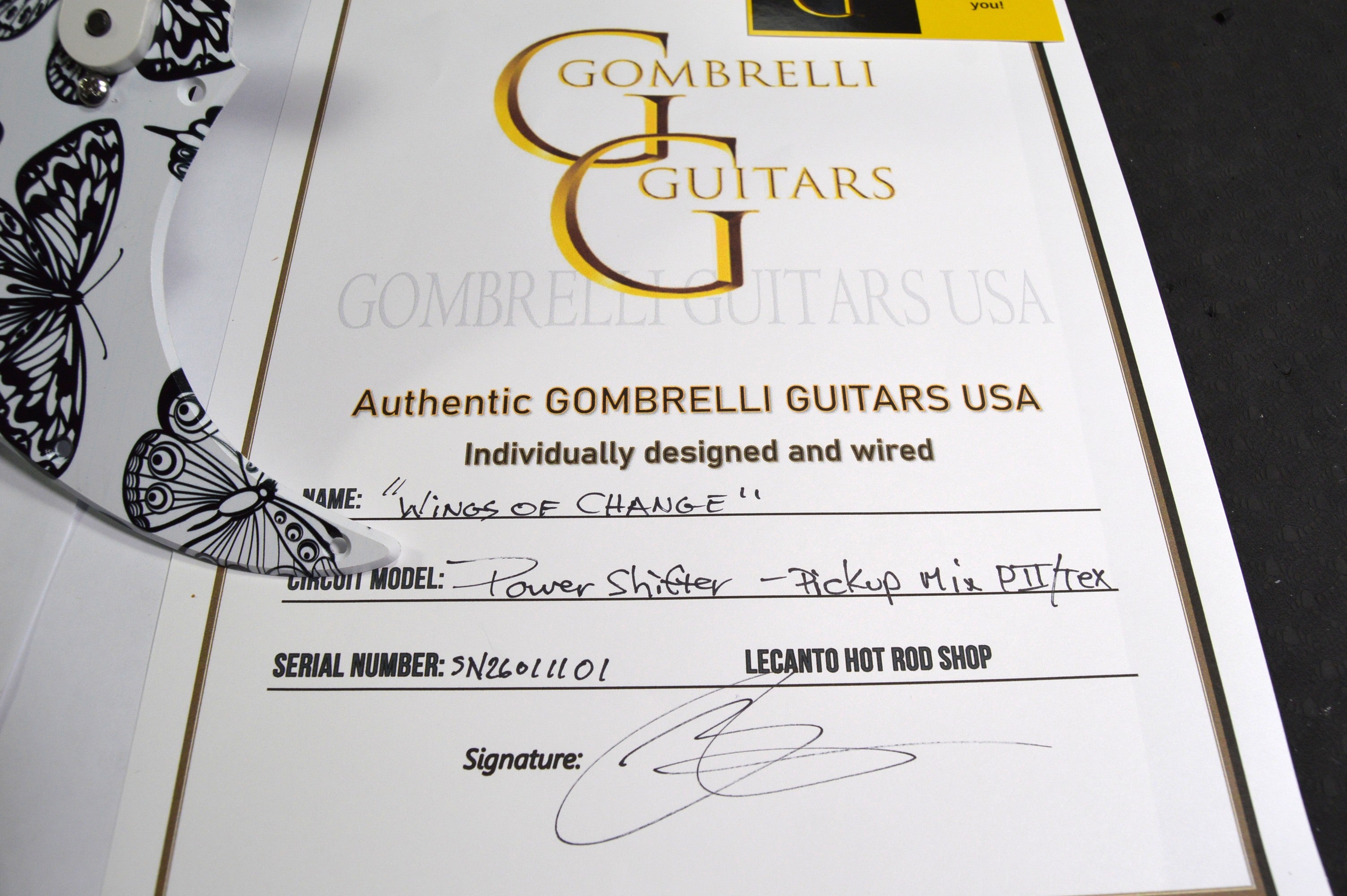 "WINGS OF CHANGE" Stratocaster POWERSHIFTER™ Player/Tex-Mex