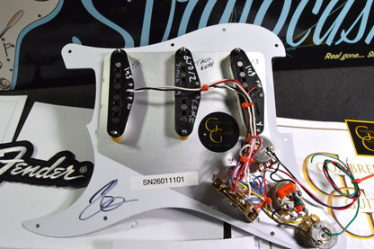 "WINGS OF CHANGE" Stratocaster POWERSHIFTER™ Player/Tex-Mex